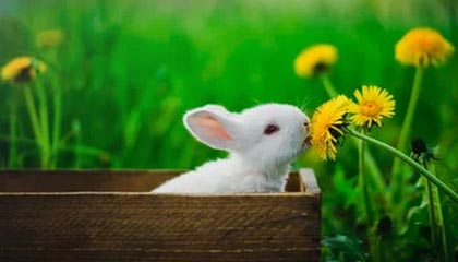 _爱游戏官方_ 中国女足勇夺国际赛事，展现实力_，中国女足热议