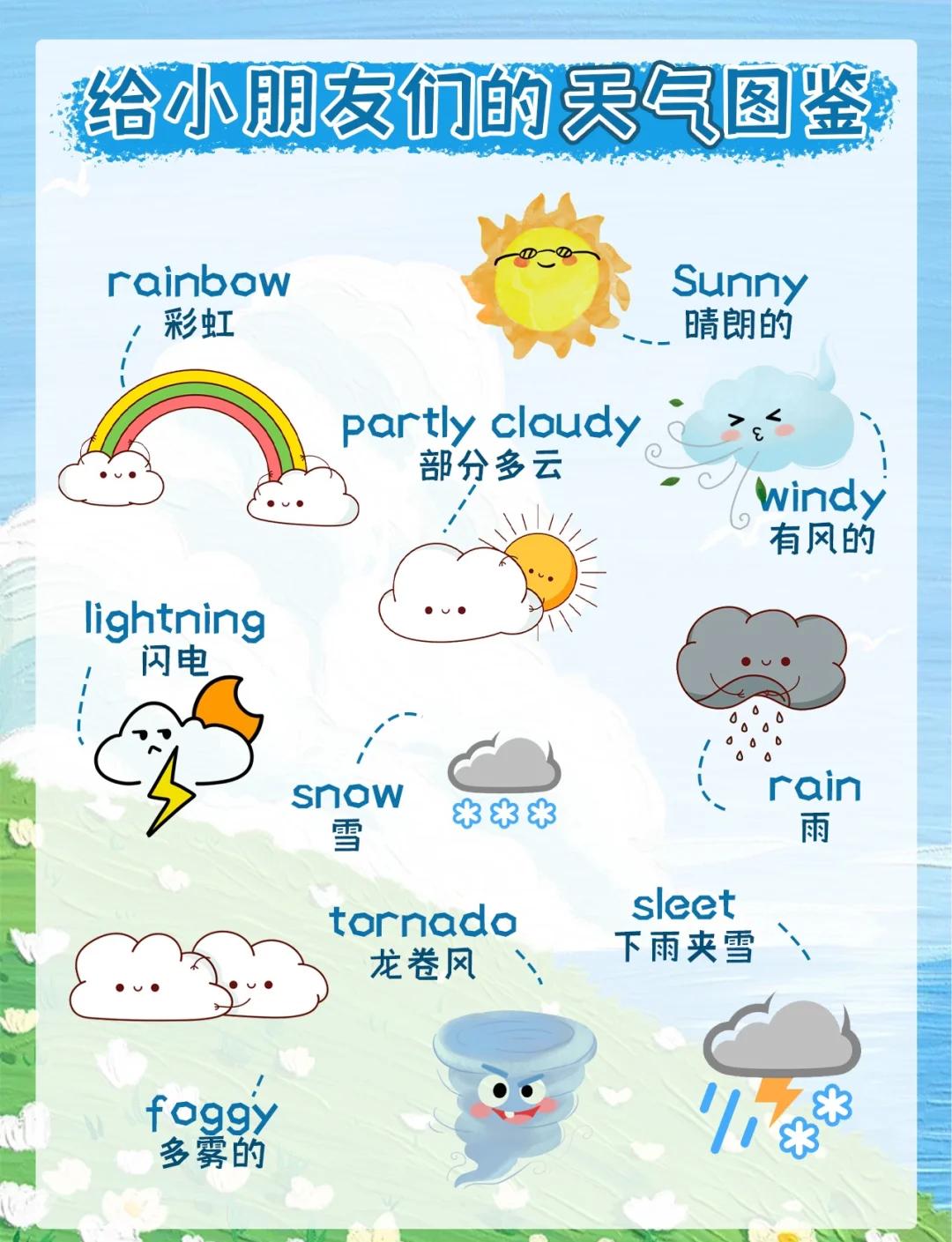战术应变：对抗天气变化的策略