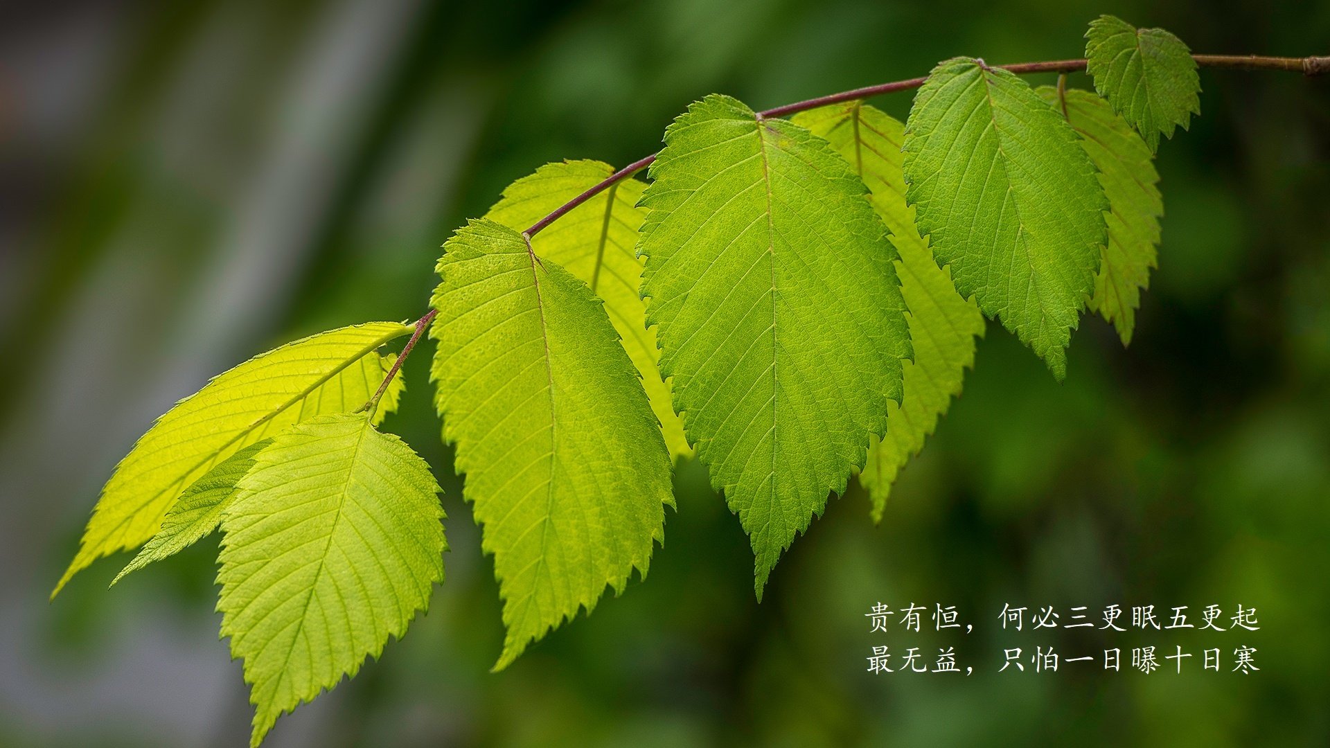 战局升级：在关键时刻表现抢眼的球员推荐