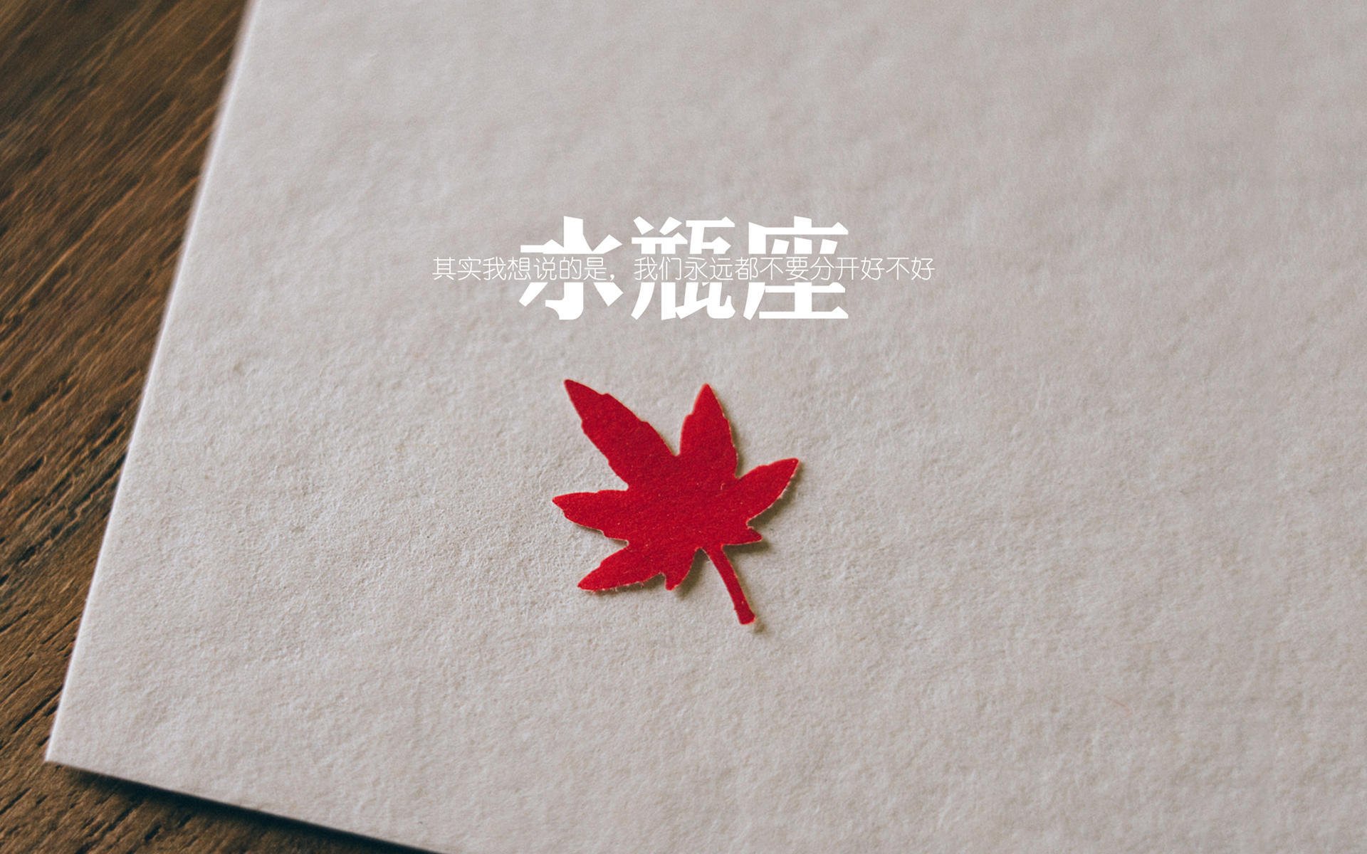 未来“足球皇帝”逐步登顶，谁能获得荣耀？，足坛未来巨星
