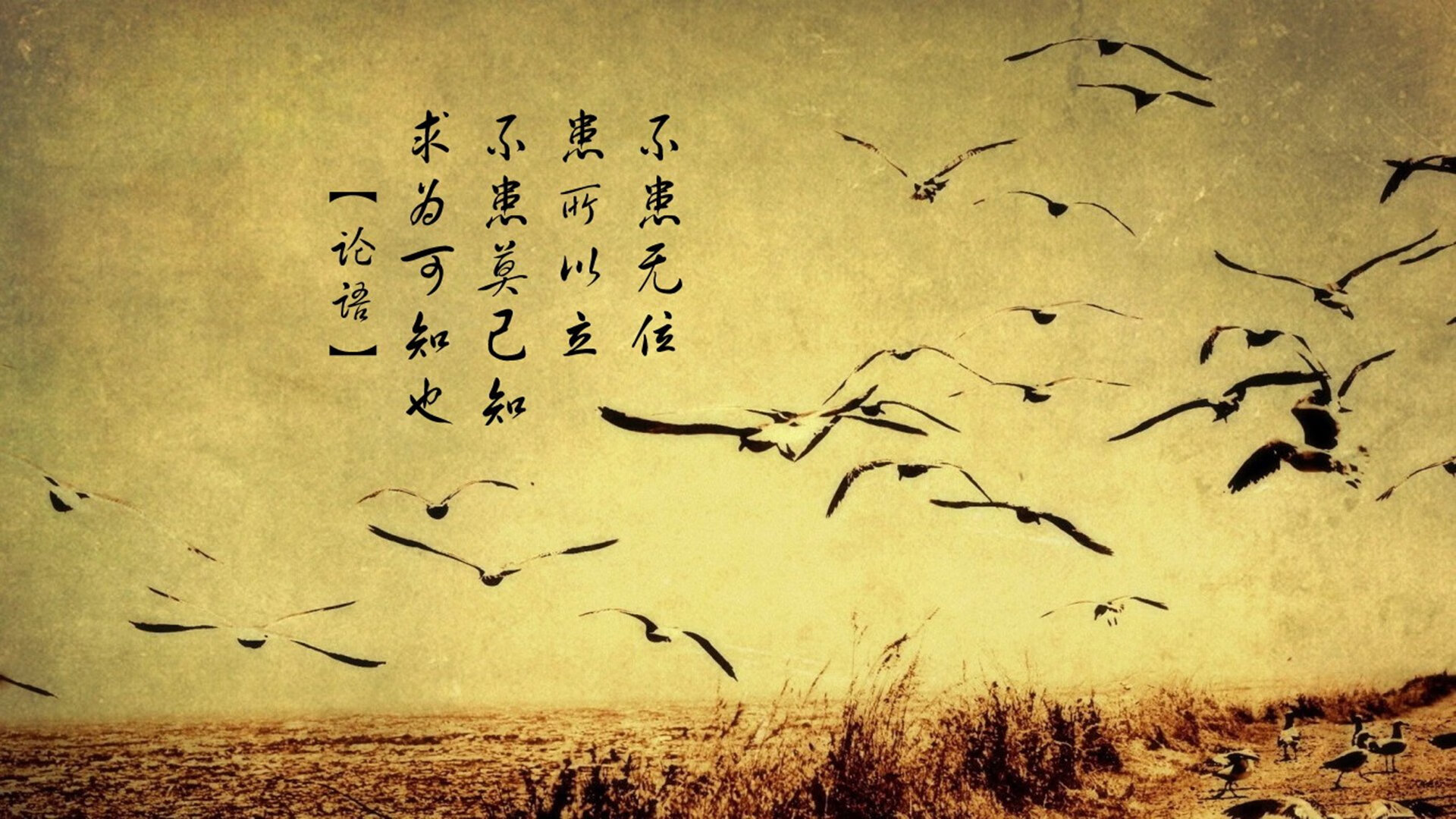 逆境中的坚守：欧冠防守大佬的绝佳表现，欧冠最强守门员