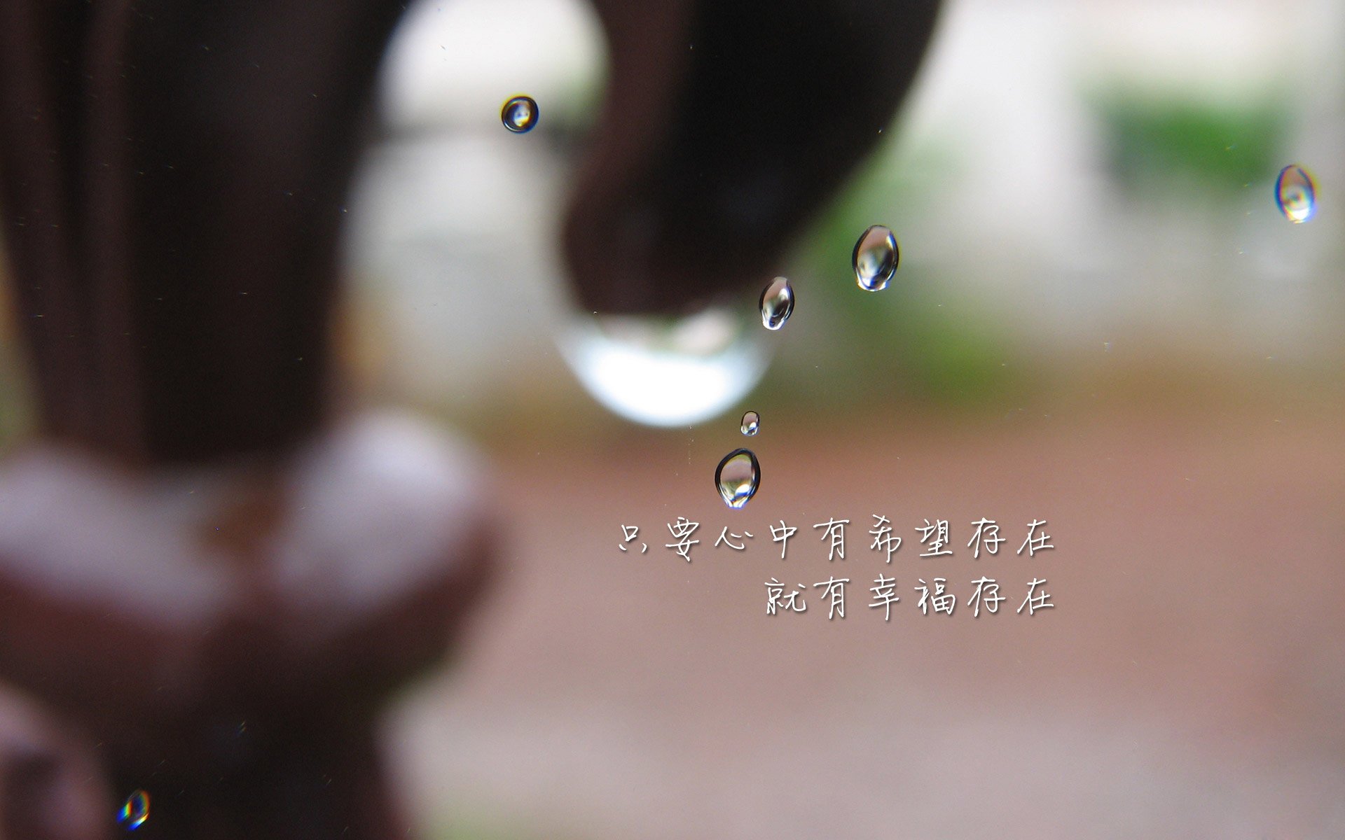 悉尼FC失利连连，晋级希望渺茫，悉尼fc对阵西悉尼流浪者预测
