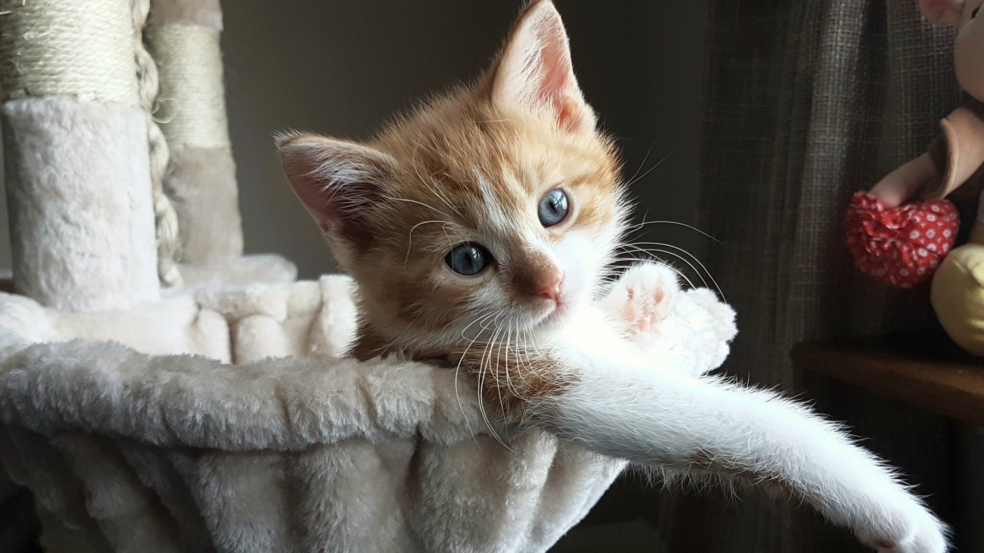 雷霆发布球员成长纪录片展现赛场内外瞬间，雷霆球员2020